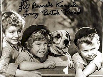 little rascals and petey the PitBull
